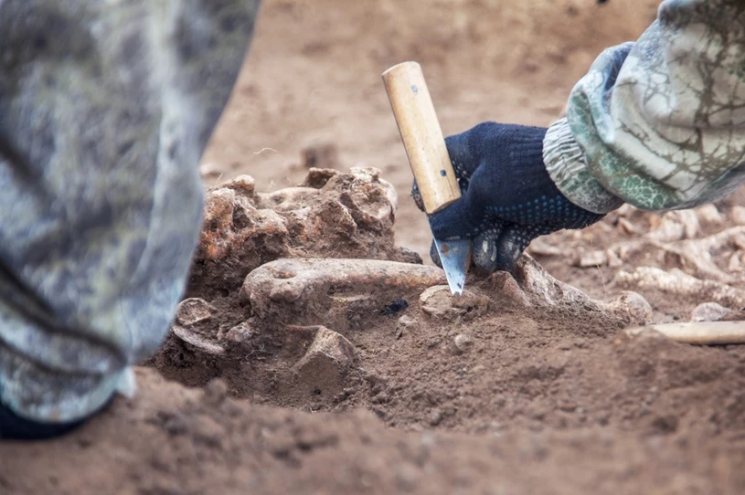 Odkrycie tajemniczego pochówku. Ujawnia brutalną historię