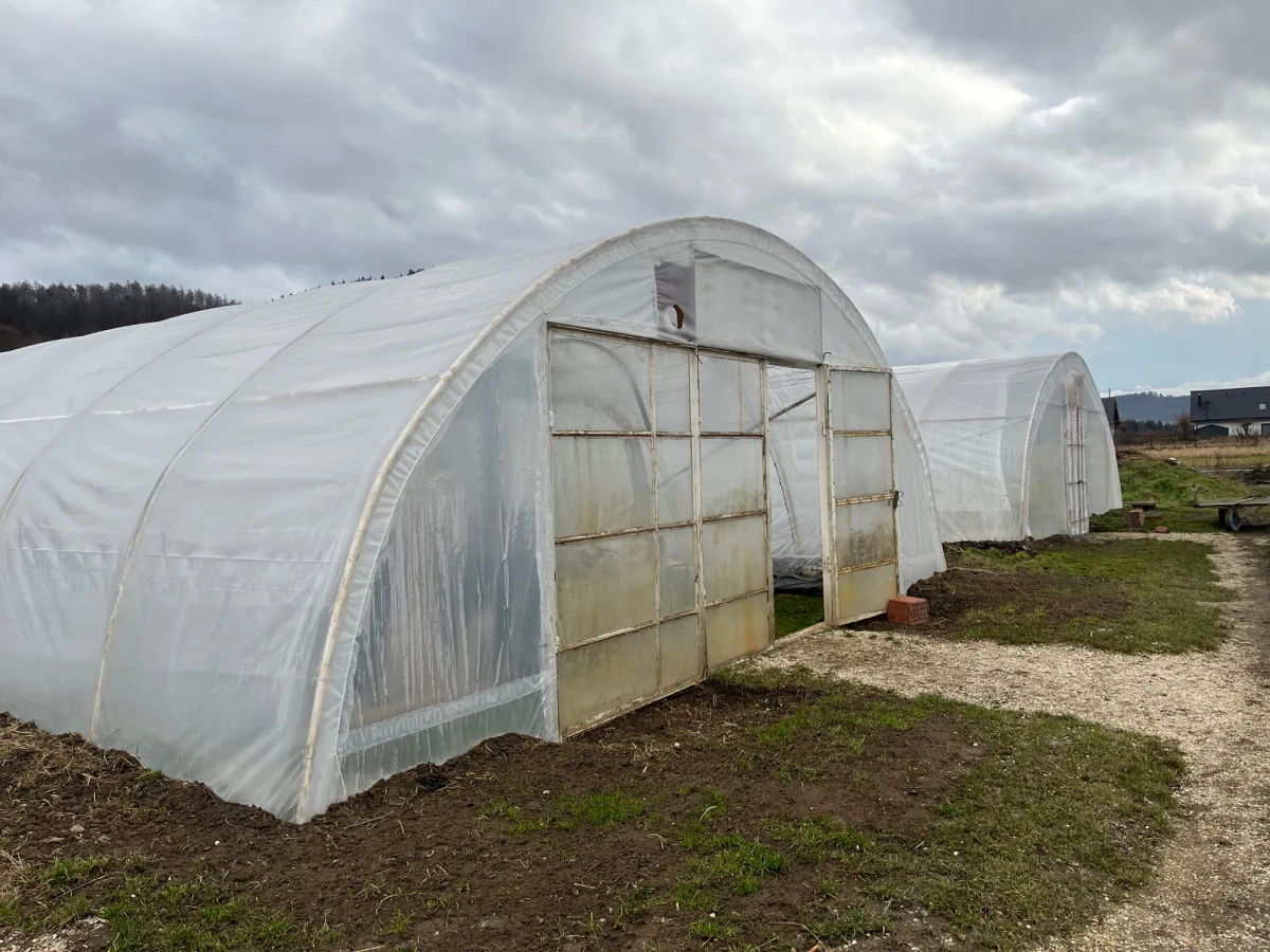 Rolnicy z zalanych we wrześniu terenów twierdzą, że państwo o nich zapomniało. Co prawda był program pomocowy, ale według nich warunki mogły spełnić tylko duże gospodarstwa. Ci, którzy na niewielką skalę produkują kwiaty, zioła czy warzywa, mieli zostać na lodzie. 