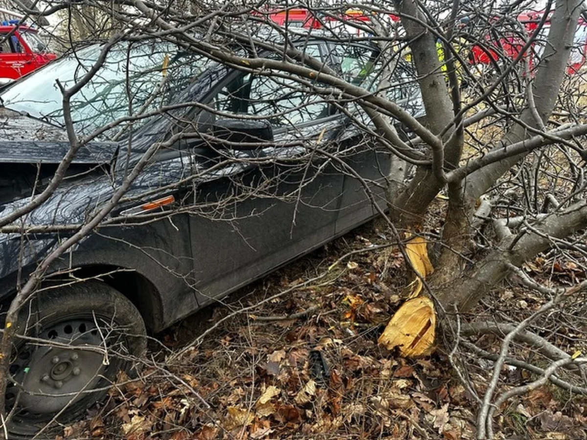 37-letni mieszkaniec powiatu ciechanowskiego mając niespełna promil alkoholu, spowodował kolizję. W pojeździe była trójka pasażerów, w tym dwoje dzieci. Mężczyźnie grozi do 3 lat więzienia.