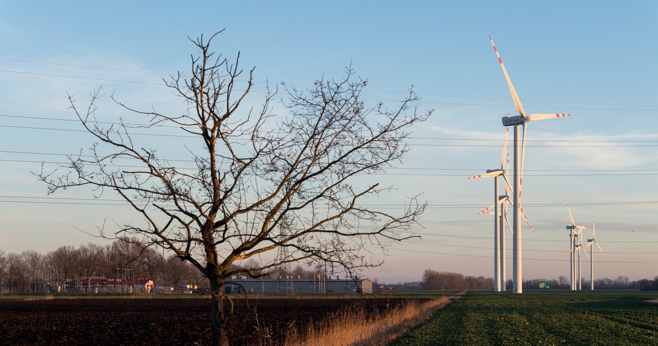 "Gigantyczne" zainteresowanie wiatrakami na lądzie. PGE stawia na repowering