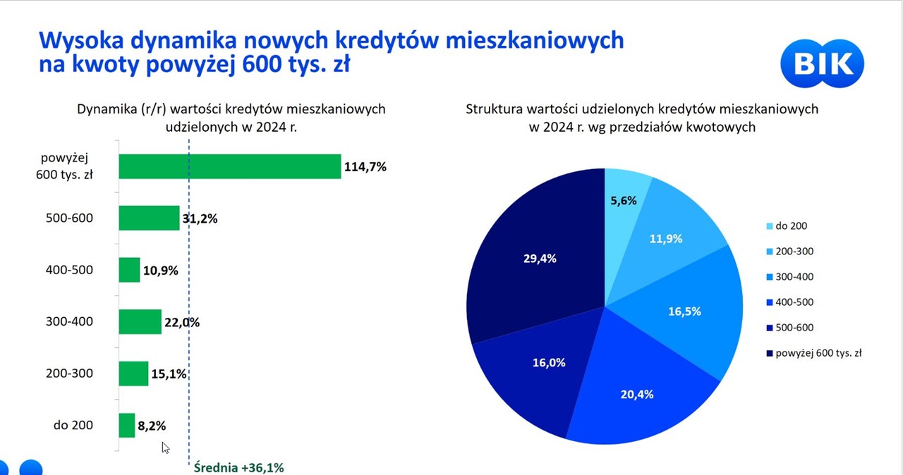 /Źródło: BIK /