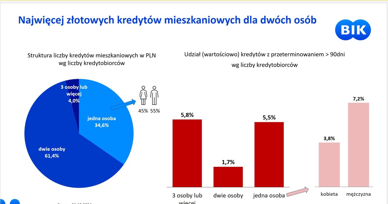 /Źródło: BIK /