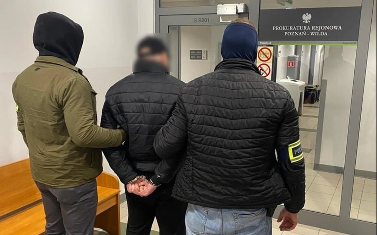 Do 4,5 roku więzienia grozi zatrzymanemu mężczyźnie, który uderzył w twarz motorniczego tramwaju przy ul. Traugutta w Poznaniu. Policja poinformowała w piątek, że mężczyzna został zatrzymany wraz ze swoją partnerką. Okazało się, że był poszukiwany też w innej sprawie. Usłyszy zarzut naruszenia nietykalności cielesnej funkcjonariusza publicznego w warunkach recydywy. 