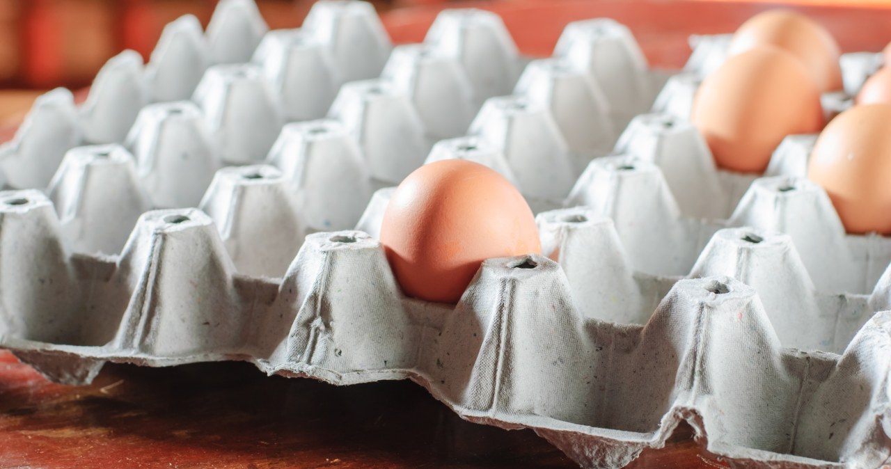 Gdzie wrzucasz wytłaczanki po jajkach? Bardzo łatwo o błąd