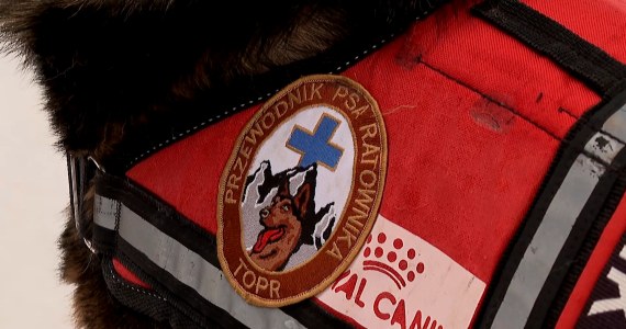 Psi patrol w górach. Nikt nie tropi tak jak one