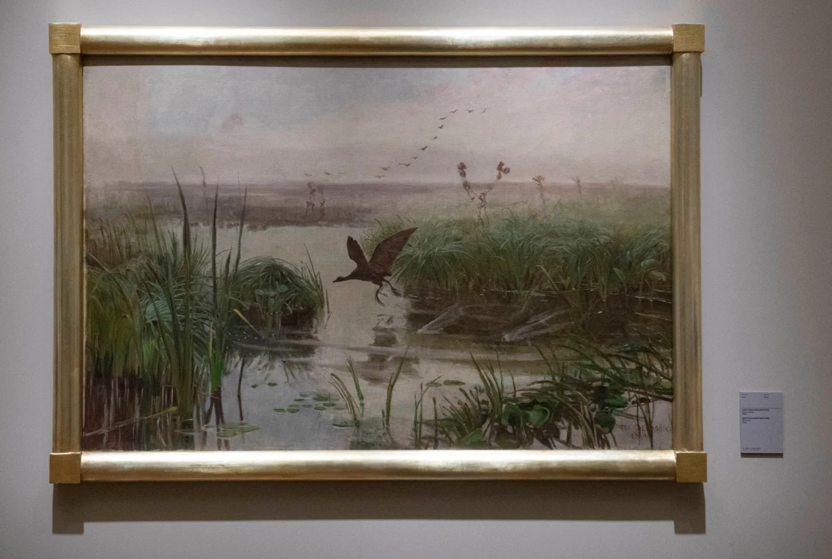 W Polsce gwałtownie spada liczebność populacji skowronka, czajki czy kuropatwy. To oznacza, że ptaki z obrazów Józefa Chełmońskiego, które do 2 lutego można oglądać na wystawie w Muzeum Narodowym w Warszawie, powoli znikają z naszego krajobrazu.