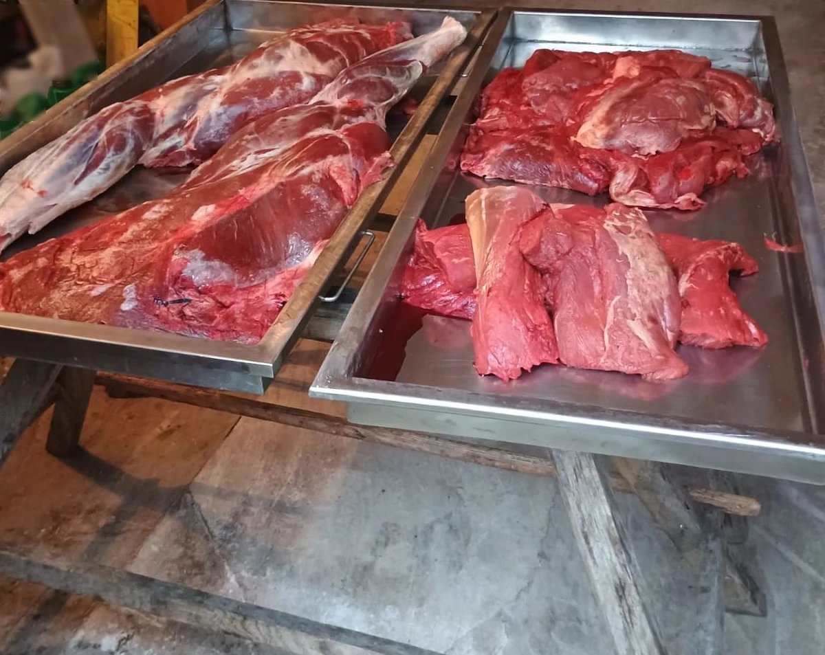 Dwaj mężczyźni, ojciec i syn, zostali zatrzymani przez policjantów z Łęcznej (woj. lubelskie) pod zarzutem kłusownictwa. 64-latek i 35-latek mieli m.in. tuszę i trofeum łosia. Funkcjonariusze znaleźli u nich również nielegalną broń i prawie tysiąc sztuk amunicji.