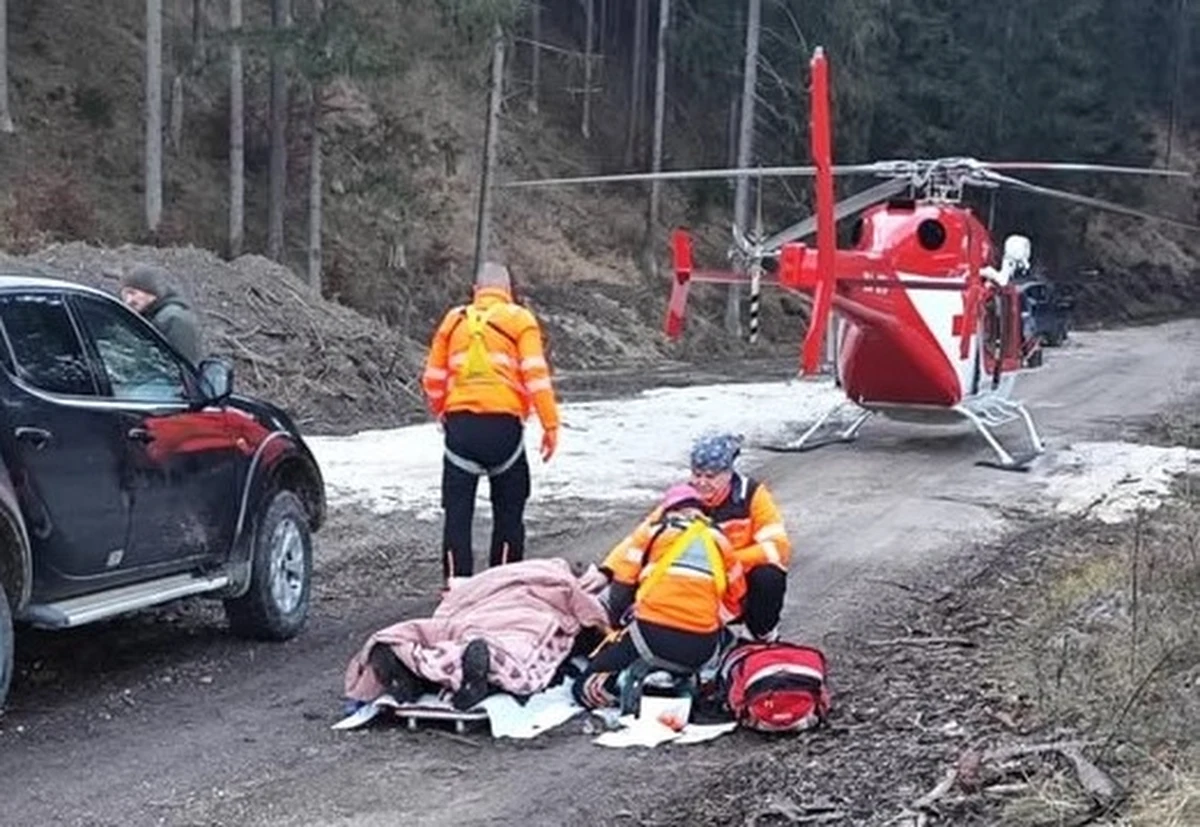 Eksperci ze słowackiej rządowej agencji ds. przyrody apelują do władz kraju żylińskiego o wprowadzenie stanu wyjątkowego w związku z sobotnim atakiem niedźwiedzia. Ciężko ranny został 38-letni myśliwy. Specjaliści podkreślają, że niedźwiedzie o tej porze roku powinny pozostawać w stanie hibernacji.