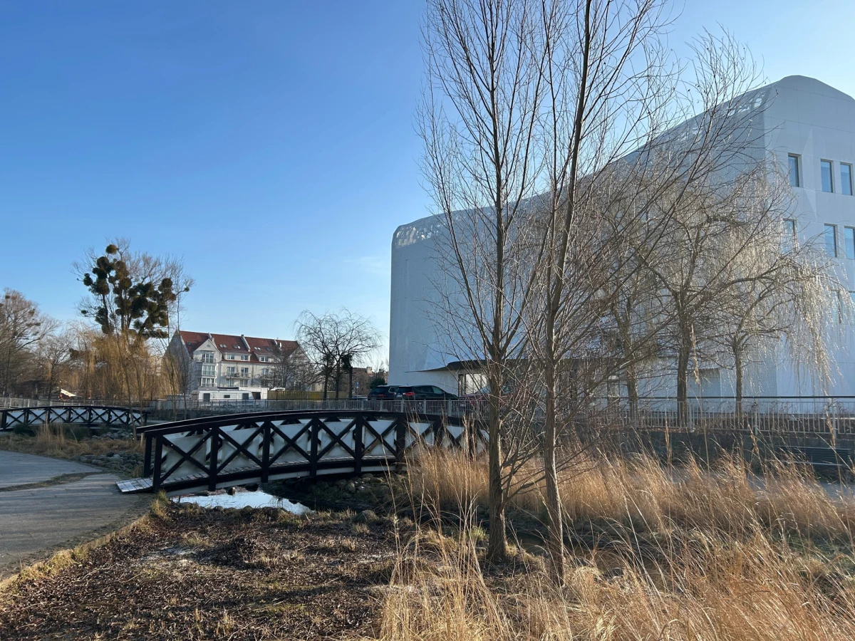 W zbiorniku retencyjnym Okrzei w Sopocie wyrosły drzewa, których obecność okazała się niebezpieczna. Jak powiedział RMF FM Marek Niziołek z Urzędu Miasta w Sopocie, na etapie projektowania obiektu nie planowano żadnych nasadzeń. "Wierzby tam po prostu wyrosły" - mówi urzędnik. Jak dodał, istnieje możliwość, iż niektóre drzewa zostały posadzone przez mieszkańców. Dziś zostaną usunięte.