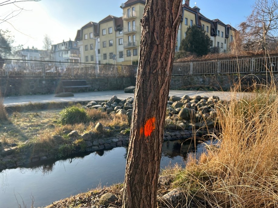 /Stanisław Pawłowski /RMF FM