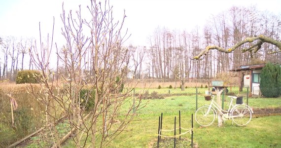 "Wydarzenia": Pierwsi działkowcy zaczęli nowy sezon