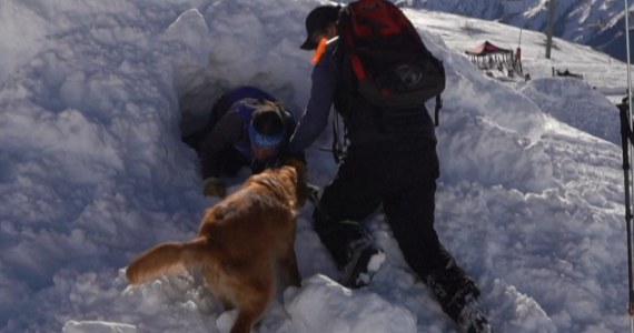 Ich węch ratuje życie. Szkolenie psów lawinowych