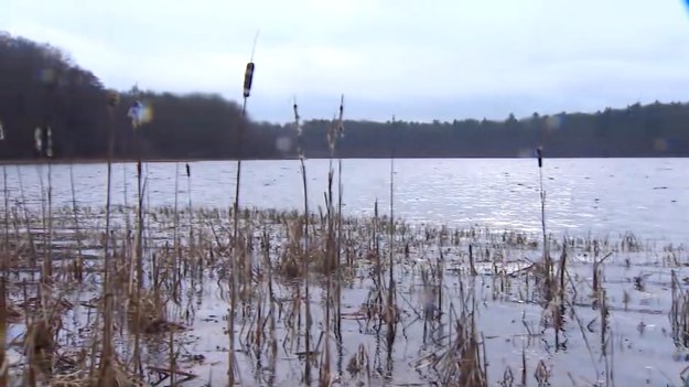 Zmiana klimatu i nasilające się upały przyczyniają się do intensyfikacji parowania jezior. Coraz więcej akwenów w Polsce notuje gwałtowne obniżenie lustra wody. Sytuację pogarsza wycinka drzew i urbanizacja okolicy, która ogranicza dopływ wód gruntowych. Zanik jezior to też spadek turystyki. Niektóre gmin postanowiły temu przeciwdziałać. W Szczecinie rozpoczęło się właśnie napełnianie jeziora Głębokiego. Efekty " wielkiej dolewki "mieszkańcy mają zobaczyć wiosną. Materiał Wojciecha Gawła.