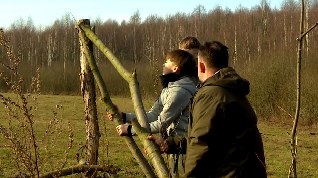 Śródpolne zadrzewienia to bardzo ważne ekosystemy. Przez cały rok dają ptakom i ssakom schronienie przed drapieżnikami, są też cennym źródłem pokarmu. W czasie zimowych ferii Podlaski Klub Młodego Przyrodnika ruszył z akcją tworzenia śródpolnych remiz. Korzystając z ciepłej aury dzieci sadziły dzikie jabłonie i grusze oraz budowały wierzbowe ogrodzenie. Przyrodniczej akcji przyglądał się Marcin Szumowski.