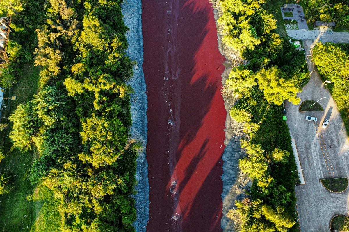 "Wygląda jak strumień krwi" – tak lokalne media opisały kanał Sarandi, płynący przez przedmieścia stolicy Argentyny - Buenos Aires. W czwartek woda w kanale zmieniła kolor na intensywnie karmazynowy. Przyczyna nie jest znana. 