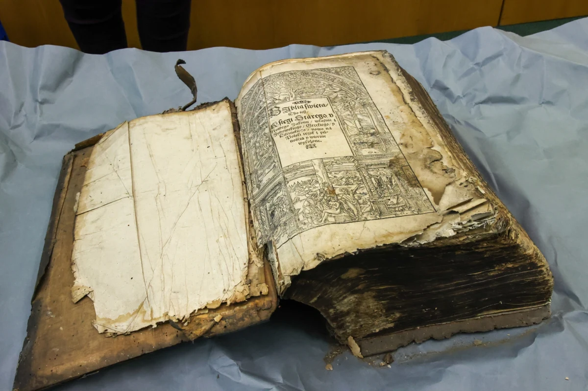 Znalezione pod Opolem dwa egzemplarze "Biblii brzeskiej" to oryginały z 1563 roku – powiedział PAP dr Sławomir Marchel, dyrektor Archiwum Państwowego w Opolu. „Biblia brzeska” była pierwszym nowoczesnym przekładem Pisma Świętego na język polski. Wydano ok. tysiąca jej egzemplarzy. Do naszych czasów dotrwało niespełna 140 z nich.