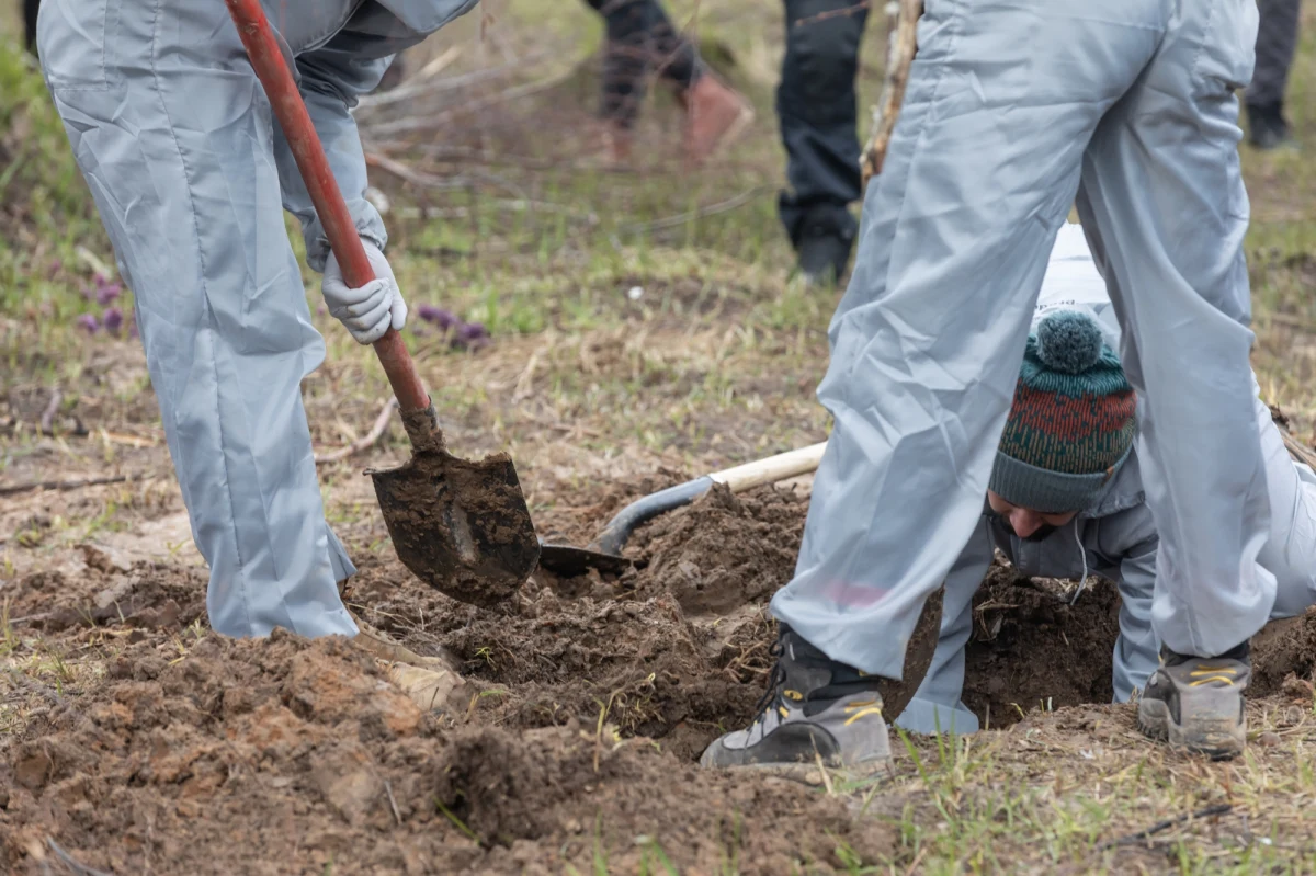"Rozpoczęcie ekshumacji polskich ofiar na Wołyniu planujemy w pierwszym miejscu, gdzie zostało wydane już zezwolenie, czyli w Puźnikach" - powiedział ambasador Ukrainy w Polsce Wasyl Bodnar.