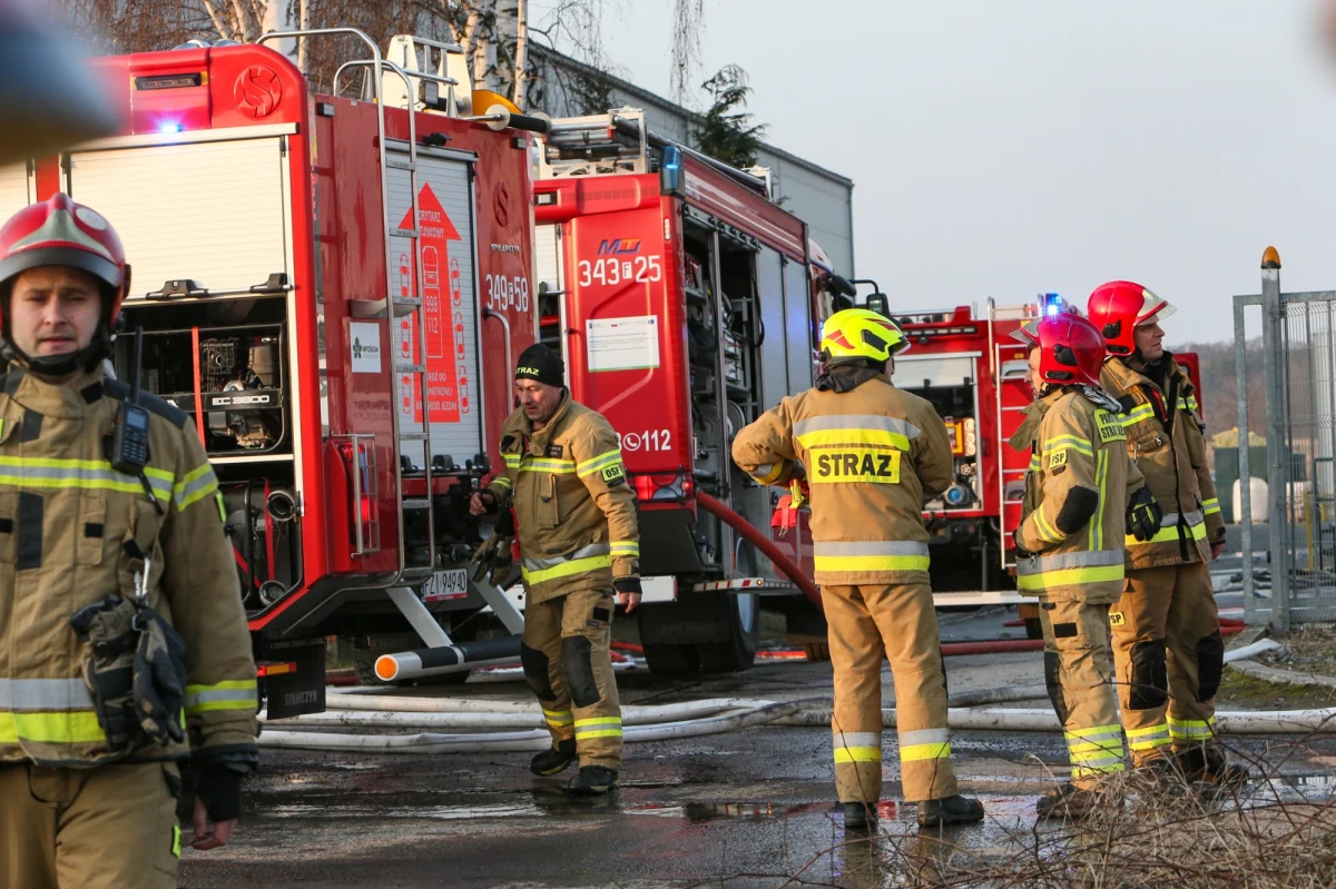 Tylko w sobotę w czterech pożarach zginęło sześć osób - poinformował rzecznik Państwowej Straży Pożarnej st. bryg. Karol Kierzkowski. Służby apelują i przypominają, by zimą regularnie sprawdzać stan urządzeń grzewczych oraz kominów.
