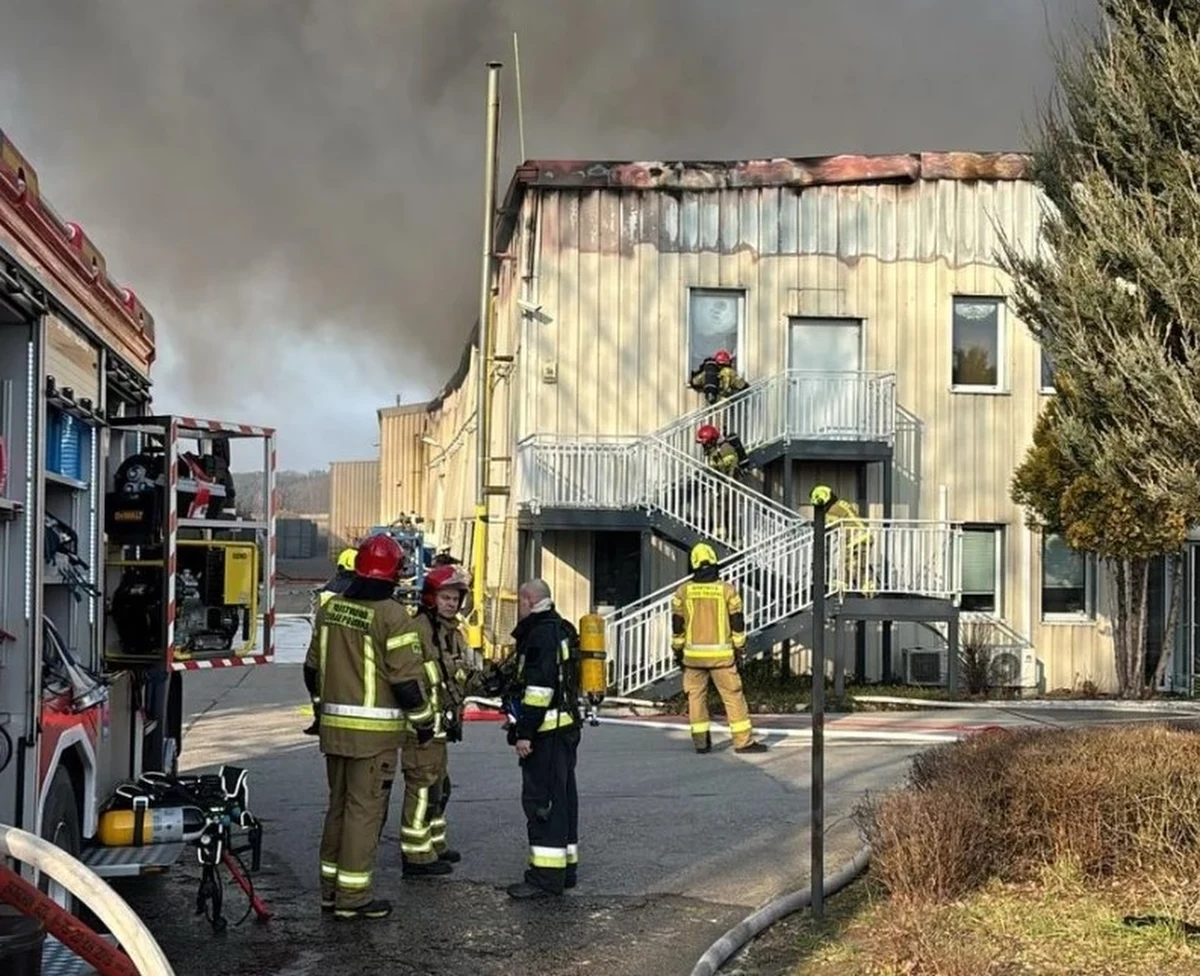 Znamy wstępne ustalenia śledczych po pożarze hali produkcyjnej w lubuskich Cigacicach. W sobotę zapalił się tam zbiornik z olejem grzewczym. Jedna osoba została ranna. 