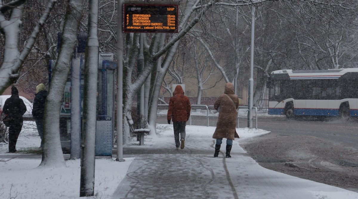 Od -13 na południu do -5 st. C na północy Polski pokażą termometry w nocy z poniedziałku na wtorek - prognozuje Instytut Meteorologii i Gospodarki Wodnej. Na minusie będzie w całym kraju. Choć w przyszłym tygodniu dni będą w większości z temperaturą dodatnią - jedynie na Podlasiu może być od -4 do -1 st. C - to trzeba z powrotem przyzwyczaić się do zimowej aury. Wystąpią również opady śniegu i deszczu ze śniegiem.
