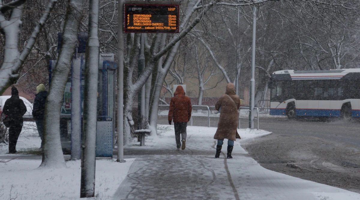 Od -13 na południu do -5 st. C na północy Polski pokażą termometry w nocy z poniedziałku na wtorek - prognozuje Instytut Meteorologii i Gospodarki Wodnej. Na minusie będzie w całym kraju. Choć w przyszłym tygodniu dni będą w większości z temperaturą dodatnią - jedynie na Podlasiu może być od -4 do -1 st. C - to trzeba z powrotem przyzwyczaić się do zimowej aury. Wystąpią również opady śniegu i deszczu ze śniegiem.