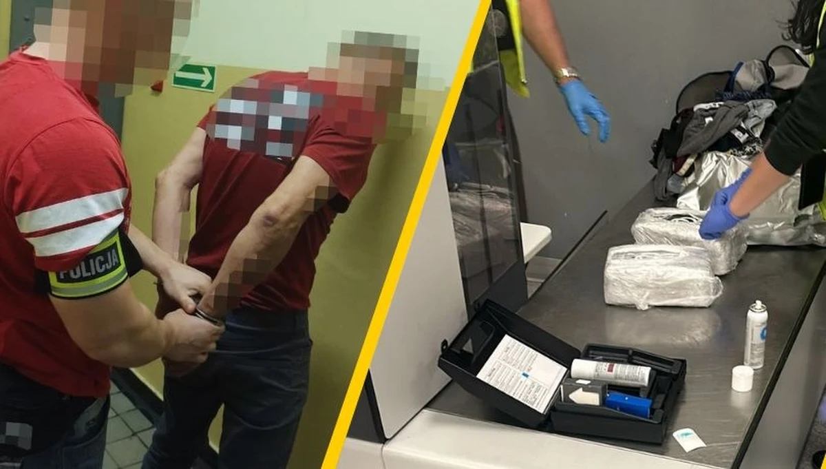 Działający na Śląsku gang przemycający do Polski kokainę został rozbity - poinformowały służby w poniedziałek. W ręce policjantów wpadło łącznie 26 kg kokainy. Jej wartość to 21 milionów złotych.