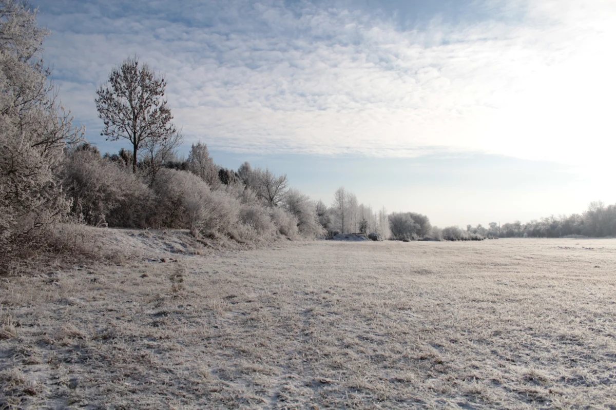 Dzięki reakcji taksówkarza i pomocy policji uratowano 60-latka, który zabłądził w polach w okolicy Włodawy (Lubelskie). Mężczyzna był już w stanie hipotermii, na szczęście w porę trafił pod opiekę lekarzy.     