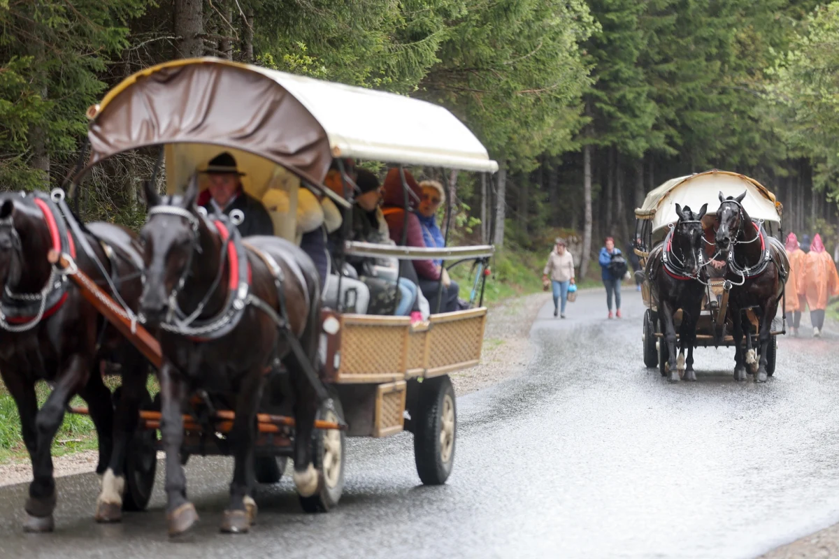 Zarząd Główny Związku Podhalan opublikował w poniedziałek stanowisko w sprawie wsparcia tradycyjnego transportu konnego na drodze do Morskiego Oka i innych traktach w Tatrzańskim Parku Narodowym. Władze związku argumentują, że konie są w doskonałym stanie, o czym świadczą szczegółowe badania specjalistów i wskazują, że to najbardziej ekologiczny transport.
