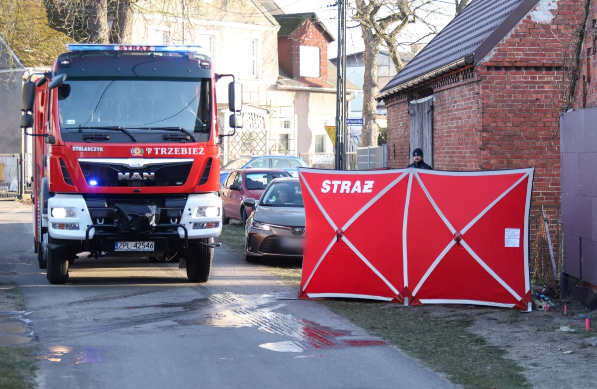 Dwie osoby zginęły w pożarze budynku w Trzebieży w pow. polickim w Zachodniopomorskiem. Ogień wybuchł tuż po godz. 7.