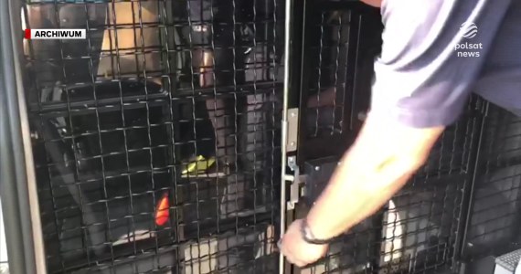 "Wydarzenia": Za pięć procent przestępstw w Polsce odpowiadają obcokrajowcy