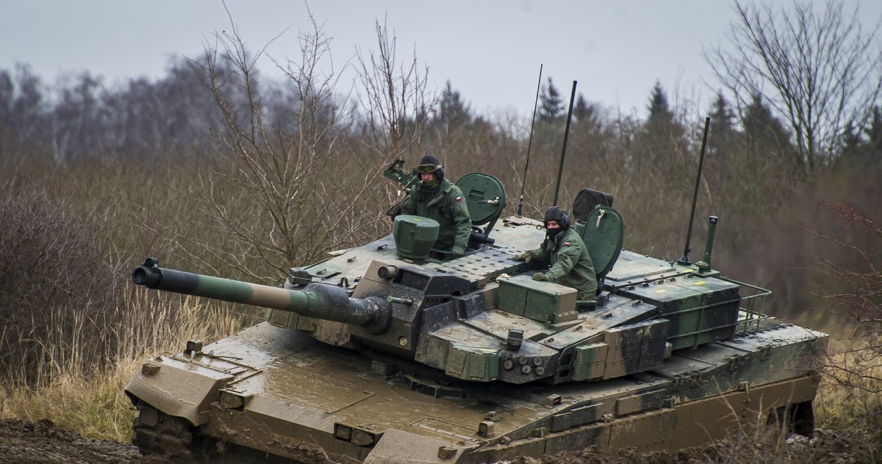 Polskie wojsko bez tajemnic? Zobacz, ile naprawdę o nim wiesz [QUIZ]