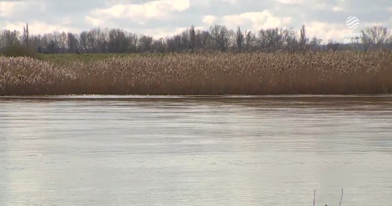 "Wydarzenia". Osoba Odra. Rzeka z osobowością prawną? To możliwe