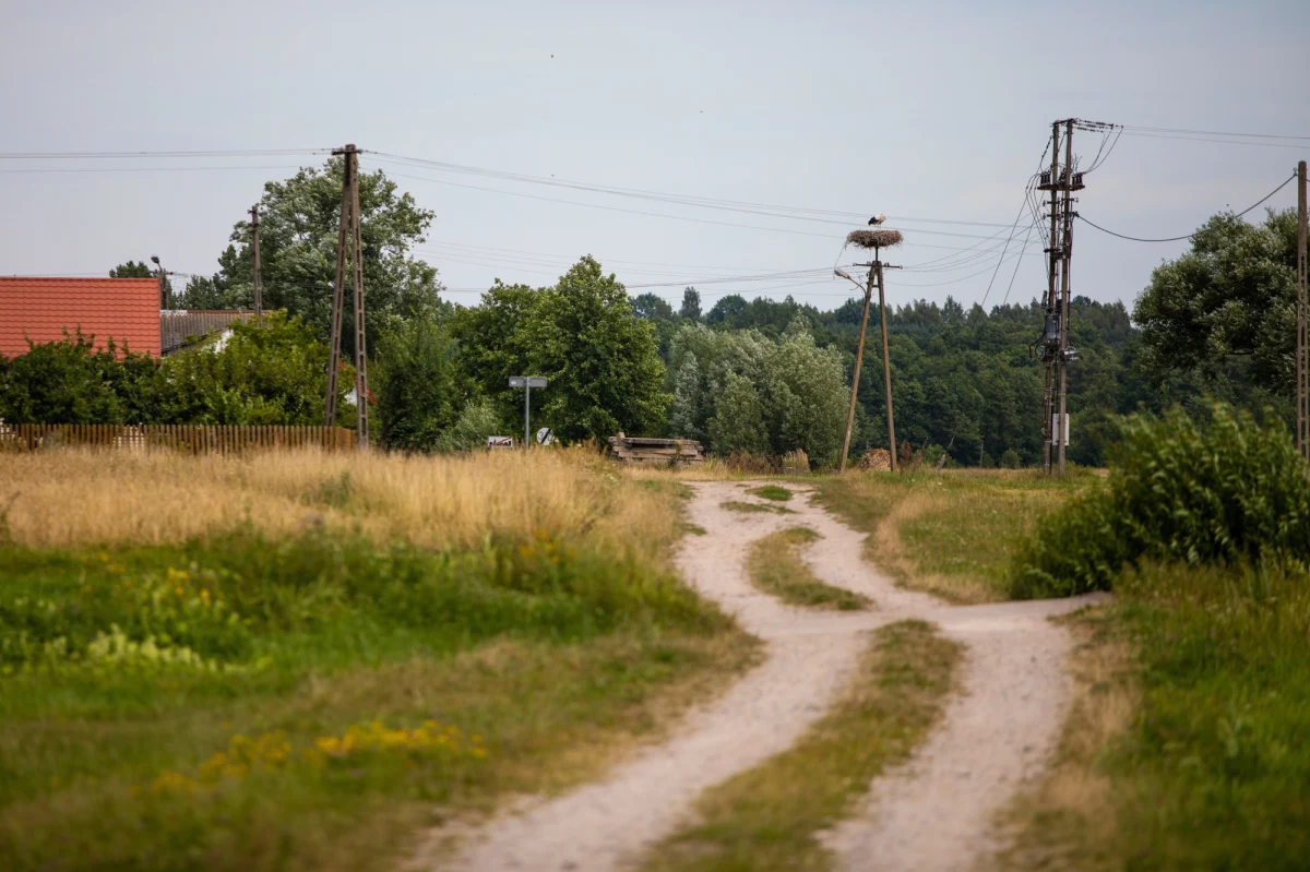 Trzy lata bezwzględnego więzienia - taki wyrok utrzymał Sąd Okręgowy w Lublinie dla Jerzego B. Mężczyzna był właścicielem psów, które w lipcu 2022 r. zaatakowały we wsi Skarbiciesz (pow. lubartowski) 48-letniego rowerzystę. W wyniku pogryzienia mężczyzna wykrwawił się i zmarł.