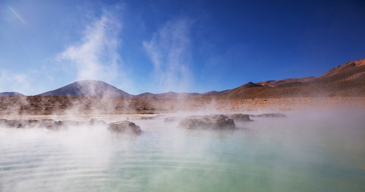 Potrafi rosnąć i dzielić się w temperaturze 63°C. Nowy rekord odporności