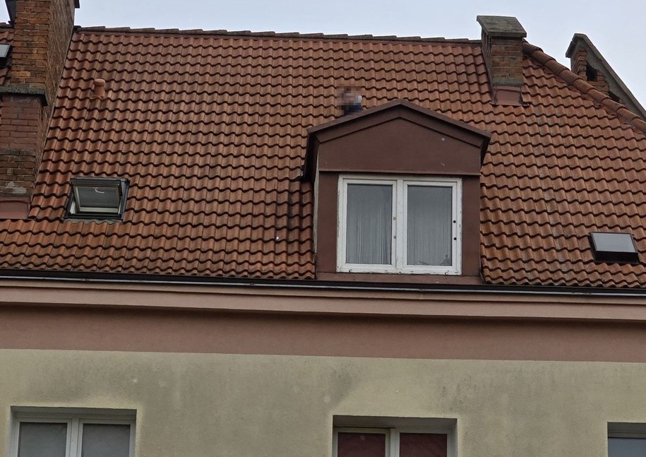 /Policja /