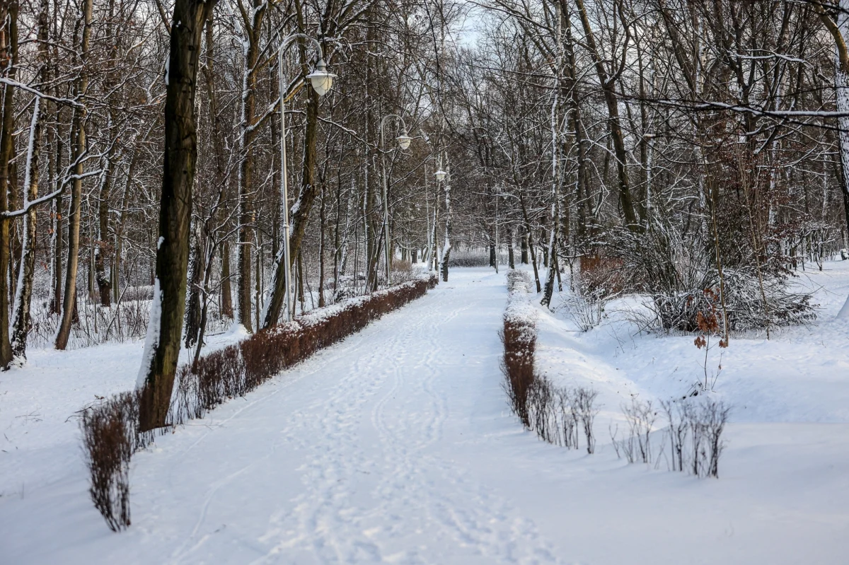 Do 15 lat pozbawienia wolności grozi 46-latkowi, który brutalnie zgwałcił 34-latkę w parku przy ul. Zgierskiej w Łodzi. Dzięki zapisowi z kamer monitoringu oprawca został zatrzymany i tymczasowo aresztowany. Szczegóły zdarzenia są wstrząsające.