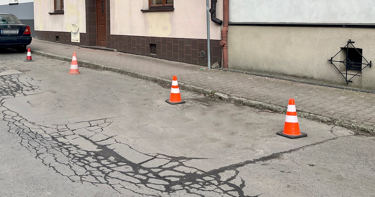 W polskich miastach to już plaga. Gdzie szukać ratunku? wiadomości,aktualności,Interia W polskich miastach to już plaga. Gdzie szukać ratunku?