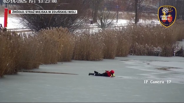 Jak kruchy okazał się lód na stawie, przekonały się dzieci ze Zduńskiej Woli w Łódzkiem. Najpierw same próbowały chodzić po zamarzniętej wodzie, ale zmoczyły buty. Potem na taflę weszły psy. Pod jednym z nich załamał się lód. Dzięki wspólnej i szybkiej akcji strażaków zwierzę udało się uratować. Dla ''Wydarzeń'' Adam Malik.