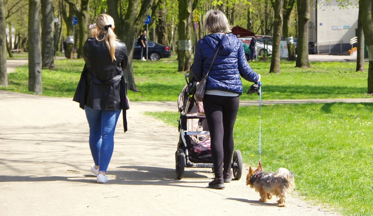 Przed nami chłodny dzień i mroźna noc, z temperaturą nawet do minus 14 stopni na południowym zachodzie. Wygląda jednak na to, że zima powoli jest w odwrocie. Pod koniec tygodnia na termometrach będzie nawet 10 stopni. "Po weekendzie może znów pojawić się wiosna" - mówi RMF FM synoptyk Grzegorz Walijewski z IMGW.