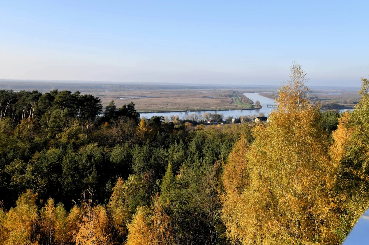 ​Pierwszy od 25 lat park narodowy powstanie, ale w kawałkach. Park Narodowy Dolina Dolnej Odry obejmie teren położony w czterech gminach, od Kołbaskowa i Szczecina, po Gryfino i Widuchową. Obiekcje ma nadal samorząd z Gryfina, stąd pomysł, by park tworzyć etapami.