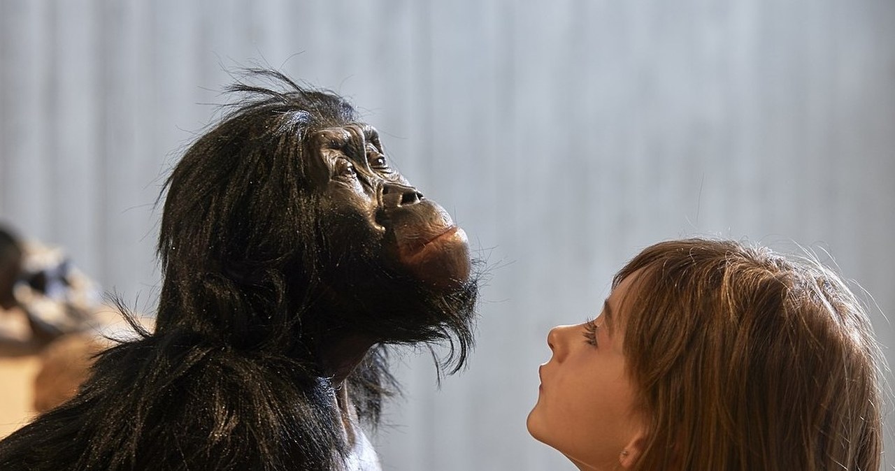 Zęby sprzed 2,6 mln lat odsłaniają tajemniczych sąsiadów naszych przodków