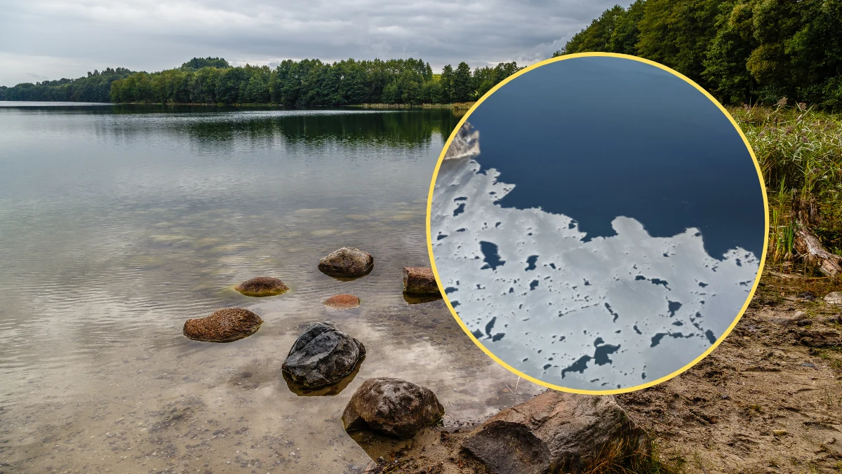 Zamarzło najgłębsze jezioro w Polsce – Hańcza. Z reguły już w pierwszej połowie stycznia lód pokrywał jezioro, tym razem trzeba było jednak poczekać trochę dłużej. "Na Suwalszczyźnie długo czekano na zimę" – zauważyła dyrektor Suwalskiego Parku Krajobrazowego Teresa Świerubska.