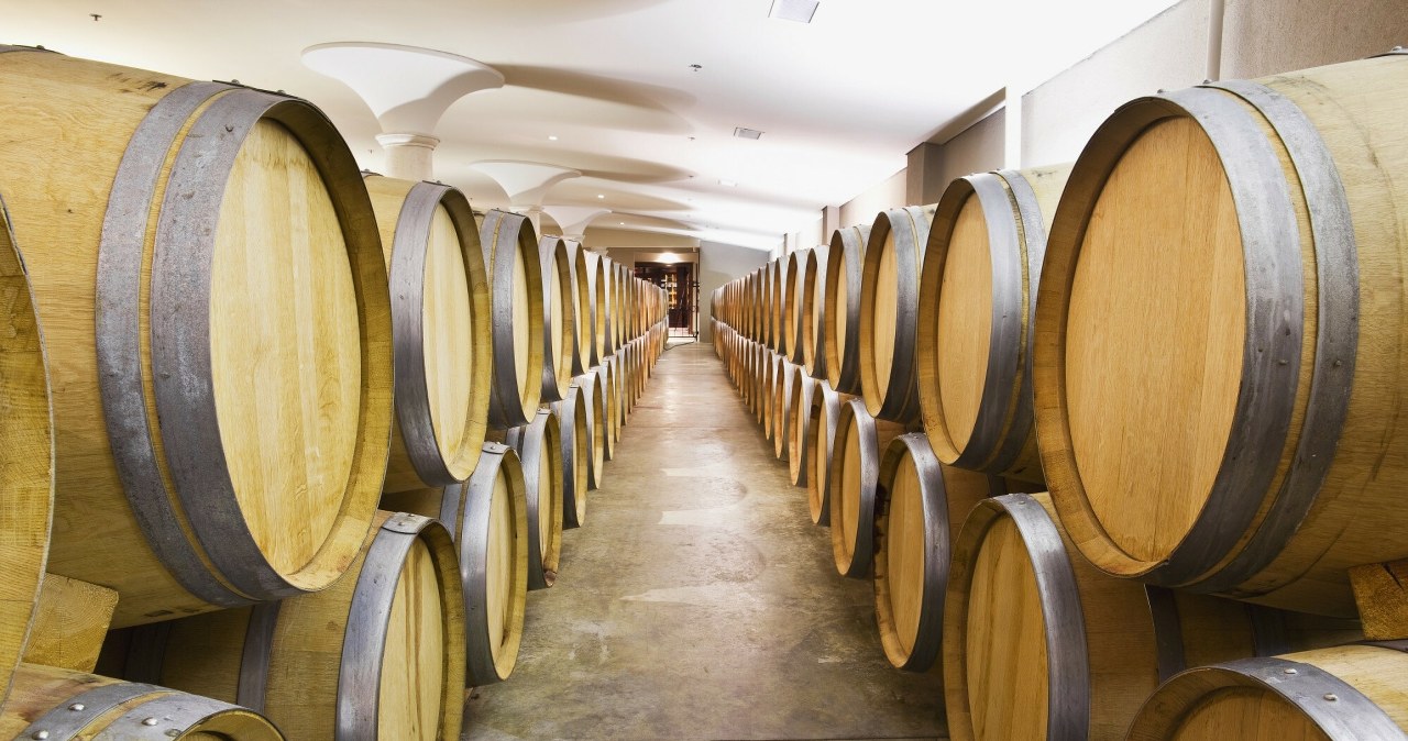 Właściciel Dino sięgnie po znaną fabrykę? "To są poufne dane"