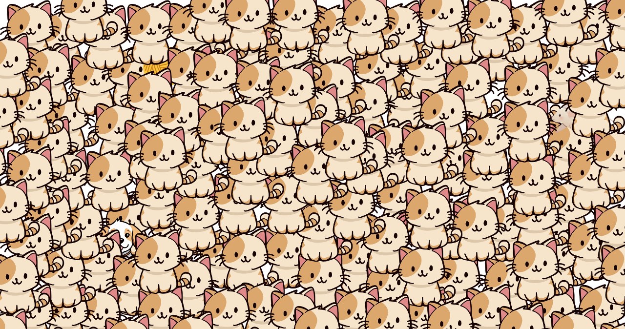 ​Myślisz, iż jesteś spostrzegawczy? Znajdź 3 ukryte na obrazku elementy