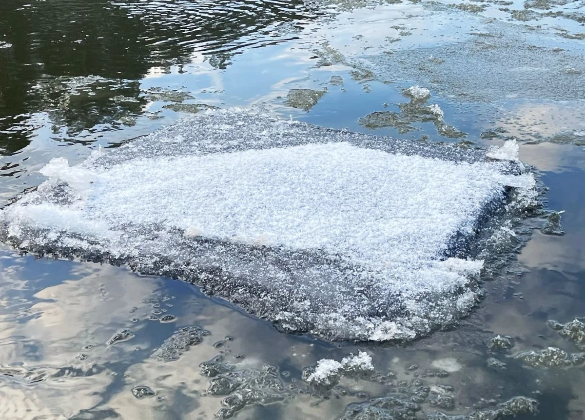 Litewscy strażnicy graniczni z Druskiennik niemal codziennie wyławiają z Niemna tratwy udające krę lodową. Każda taka lodowa tratwa załadowana jest papierosami i wyposażona w nadajnik GPS. Taki sposób na kontrabandę mają białoruscy przemytnicy.