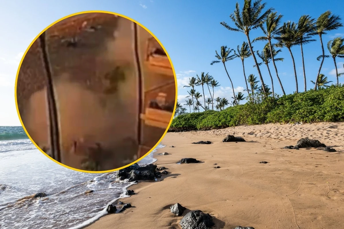 Potężna eksplozja grilla w ośrodku wypoczynkowym na Hawajach. Rannych zostało 7 osób - 3 są w bardzo ciężkim stanie. Świadkowie zdarzenia mówią o huku, który "wstrząsnął ziemią".