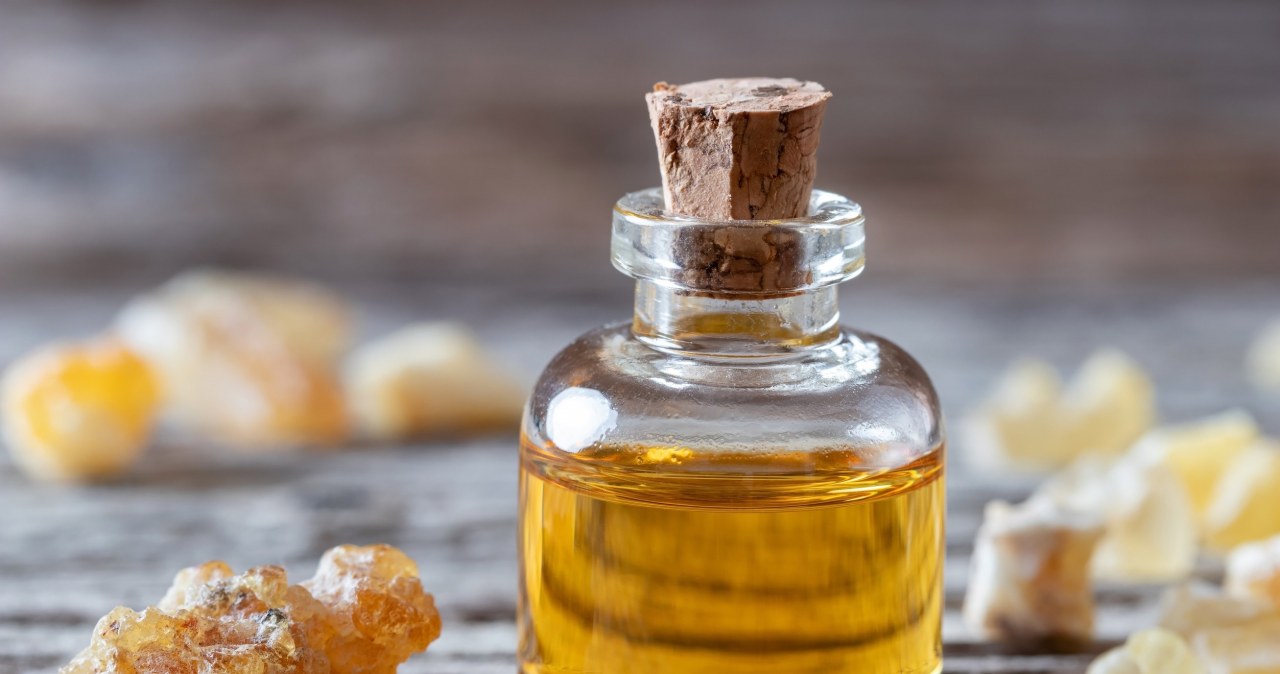 Na co pomaga kadzidłowiec indyjski? adekwatności lecznicze mogą zaskoczyć