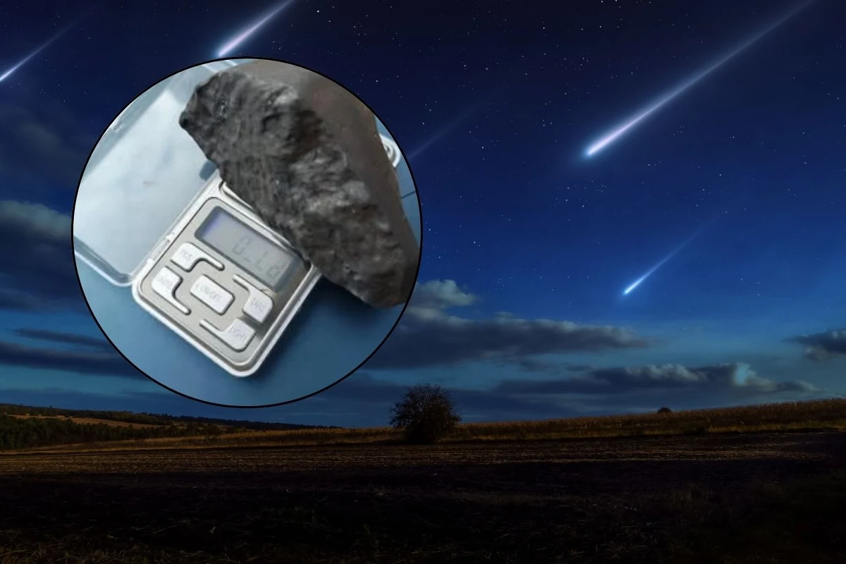 Na Lubelszczyźnie spadł deszcz meteorytów. Jak informuje prezes Polskiego Towarzystwa Meteorytowego, znaleziono już 13 okazów i jest szansa na odszukanie kolejnych.