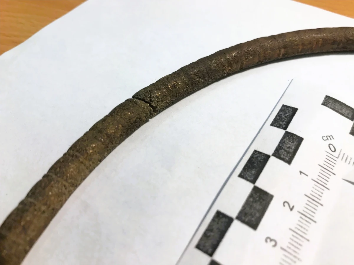 Niecodzienny zabytek w okolicach miejscowości Bartosze w powiecie ełckim w woj. warmińsko-mazurskim. Rolnik podczas prac na pastwisku znalazł naszyjnik z brązu wykonany 2,5 tys. lat temu. Artefakt przekazał do urzędu ochrony zabytków. 