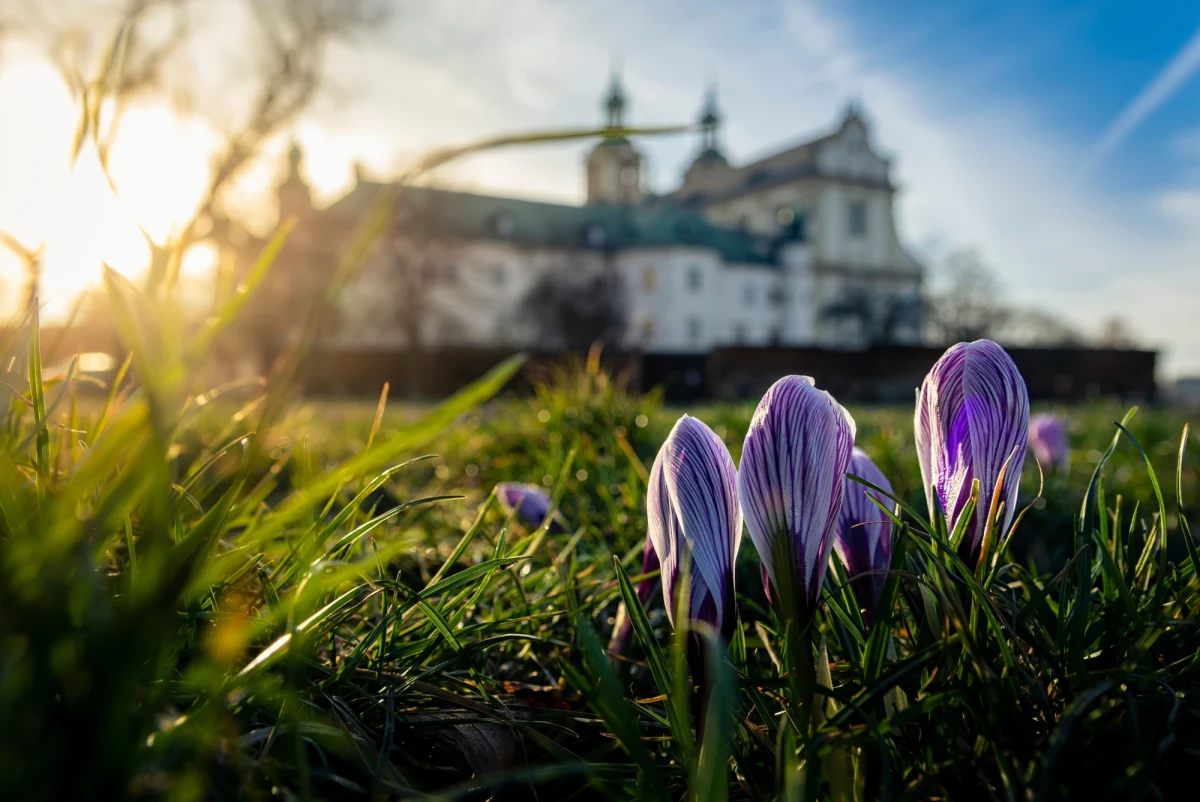 Kraków i archidiecezja krakowska podpisują list intencyjny o współpracy. Już wkrótce mieszkańcy i turyści będą mogli cieszyć się dostępem do dotąd zamkniętych ogrodów przy kościołach i klasztorach.
